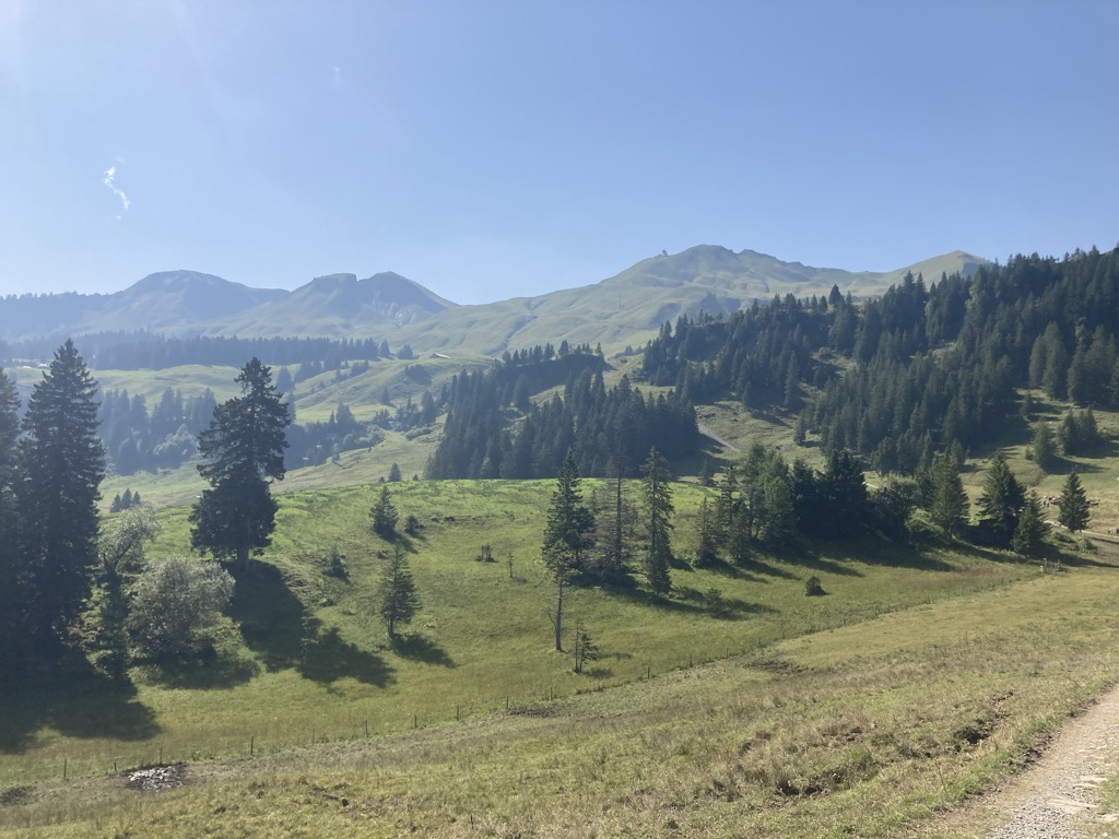 Photo №3 of Klingenstock