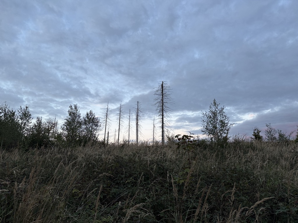 Photo №2 of Klusenberg