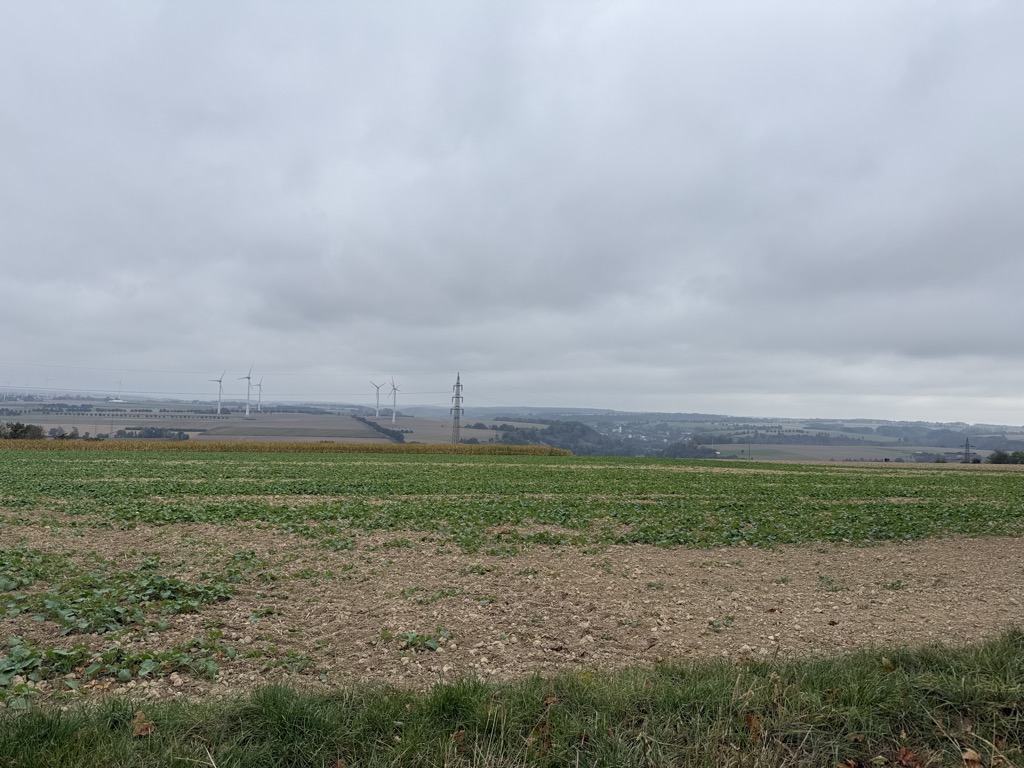 Photo №2 of Knickberg