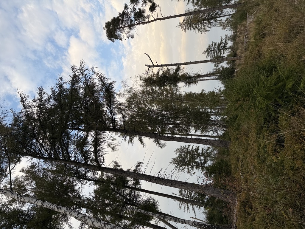 Photo №2 of Knieberg