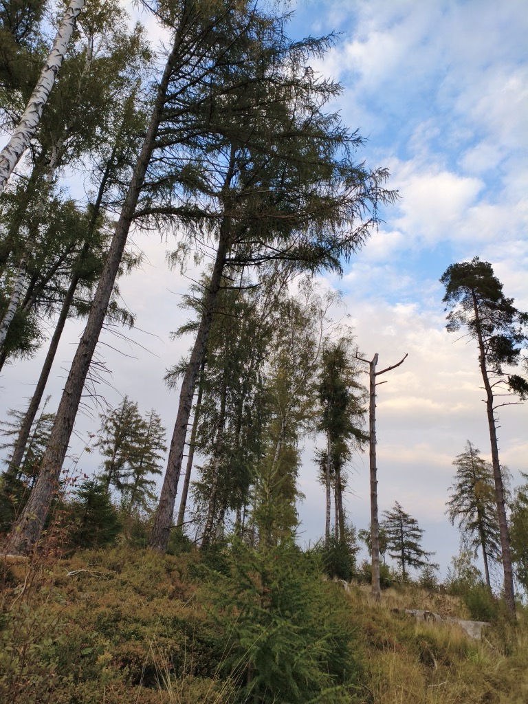 Photo №3 of Knieberg