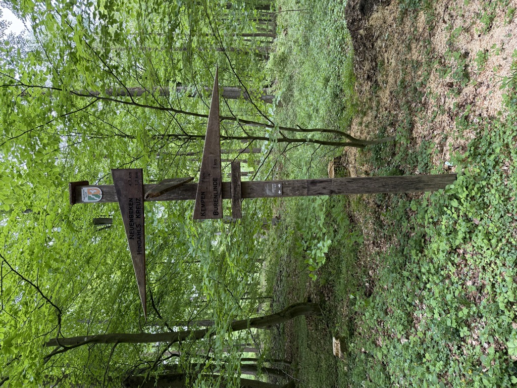 Photo №1 of Kobbennacken