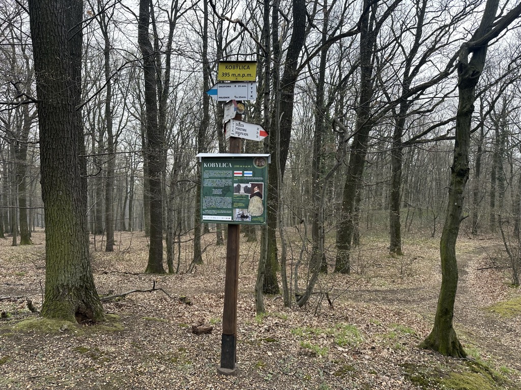 Photo №1 of Kobylica