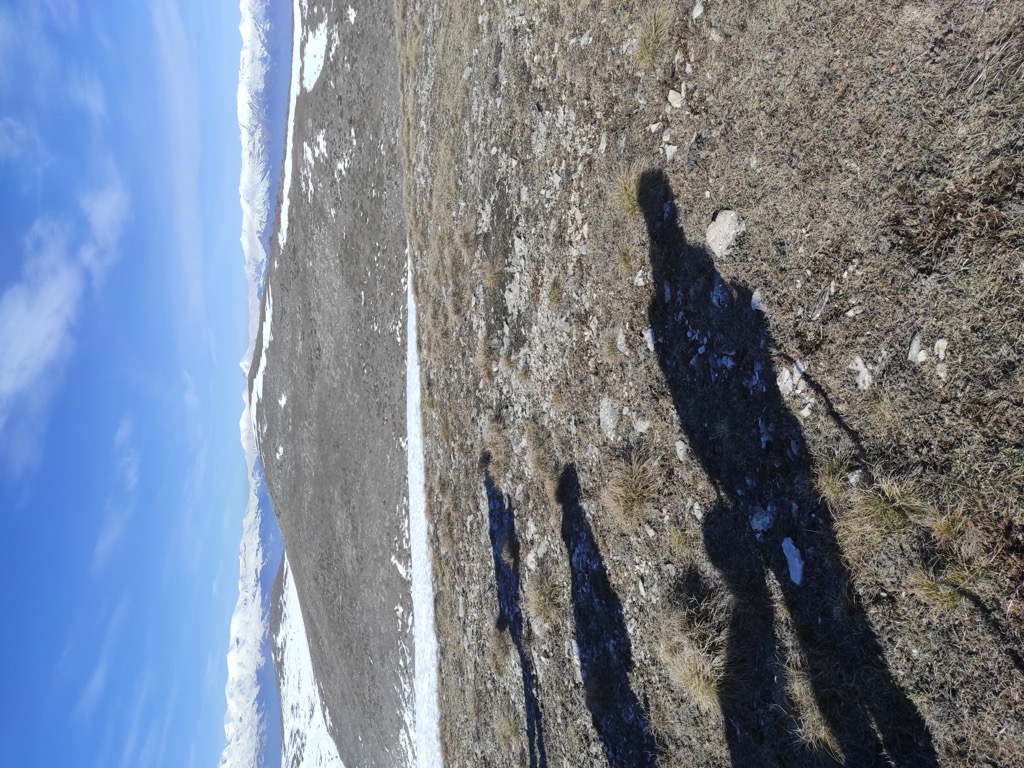 Photo №1 of Kodra Koriz