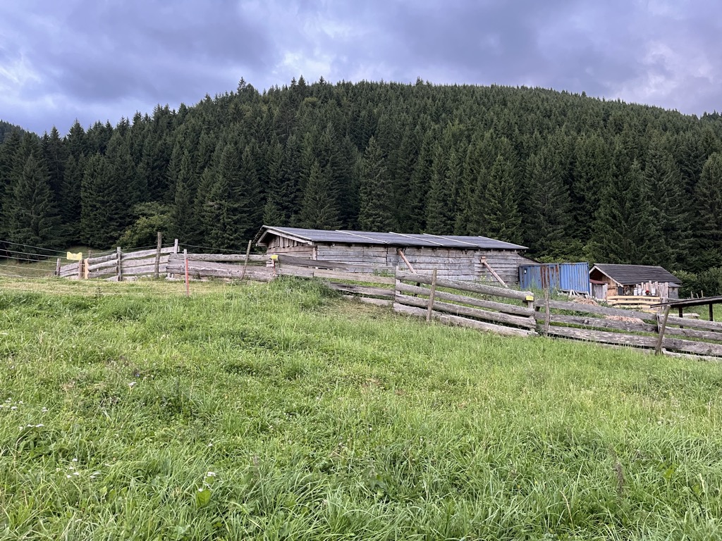 koliba