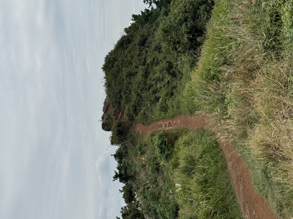 Photo №1 of Koonsan Oreum