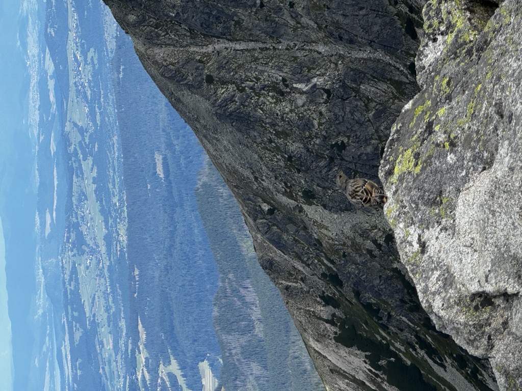 Photo №6 of Kościelec