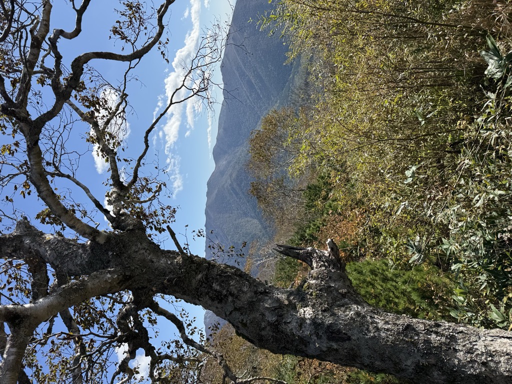 Photo №1 of Krasnaya mount
