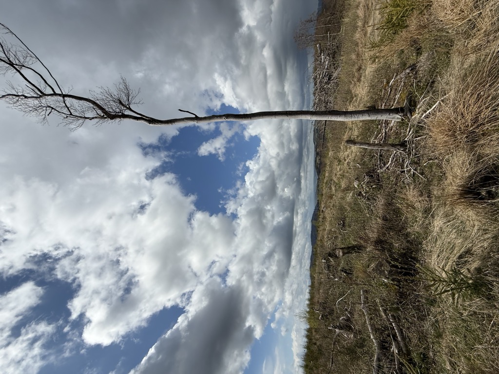 Photo №2 of Kreuz Habuche