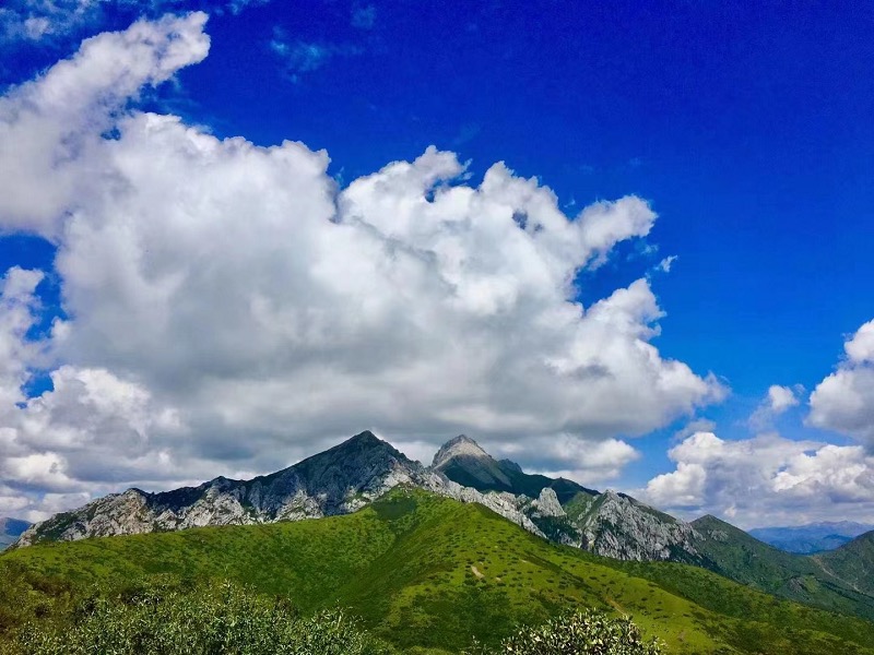 Photo №2 of Kuashiyan
