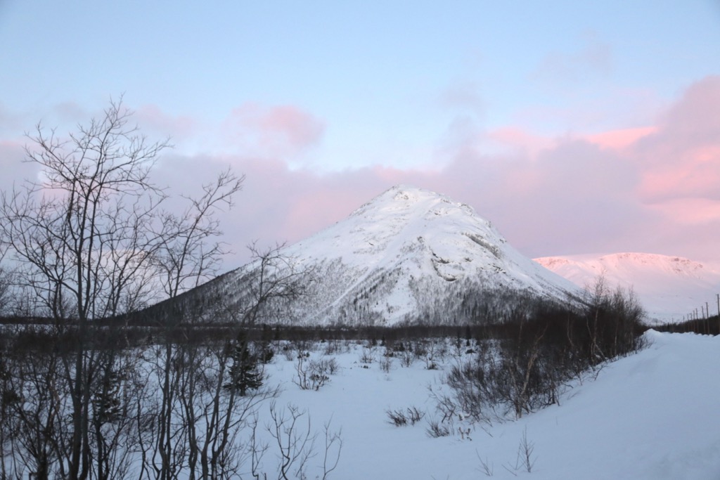 Photo №3 of Kukis