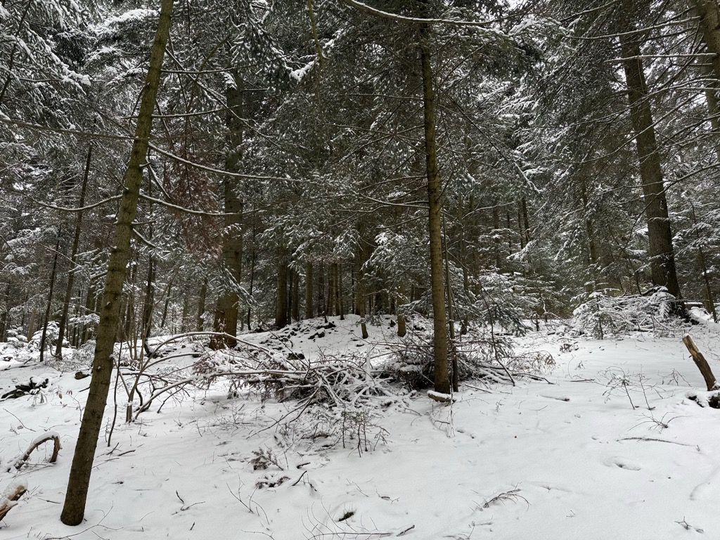 Photo №2 of Kuternogowa