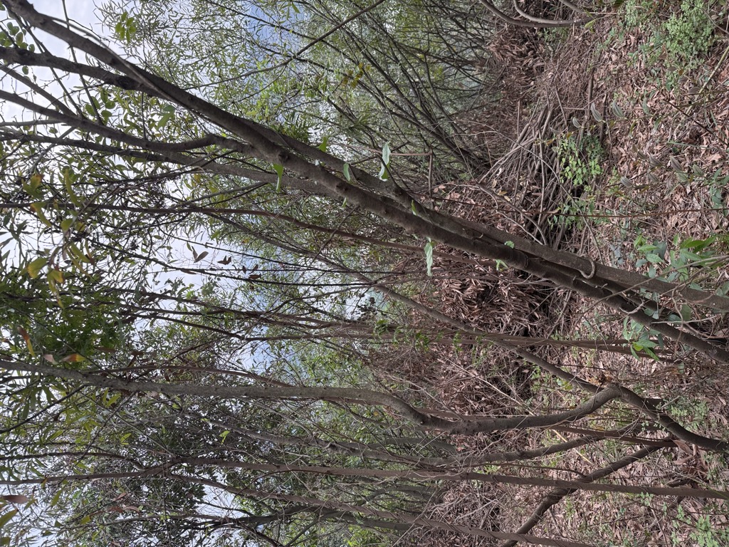 Photo №2 of Lǎohǔ Dòngshān