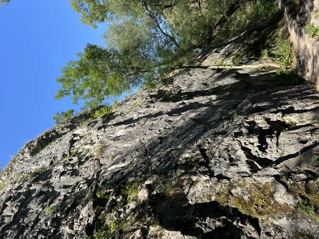 Photo №2 of La Circ si Papagal