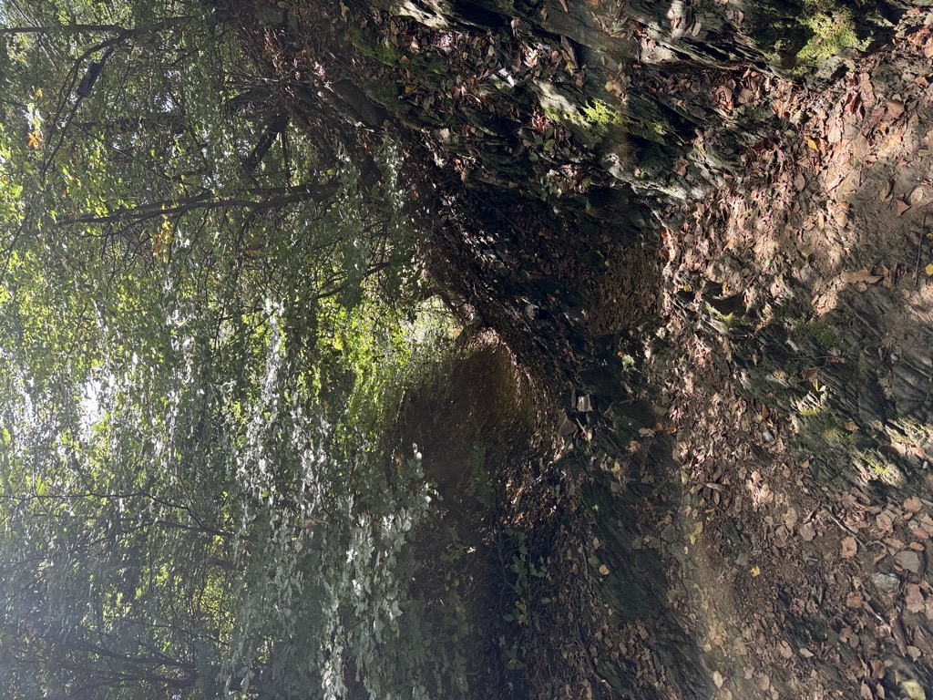 Photo №2 of La Croce