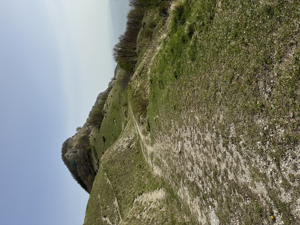 Photo №2 of La Forchetta