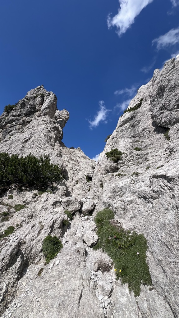 Photo №2 of La Porticina / Vratica