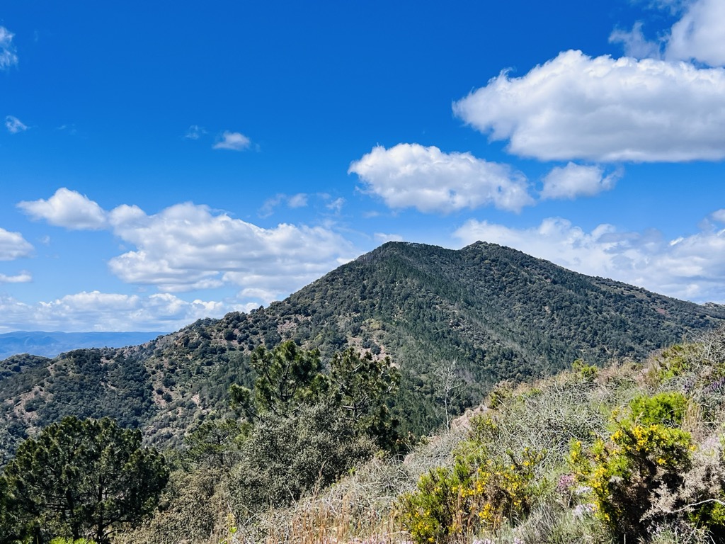 Photo №1 of La Rápita