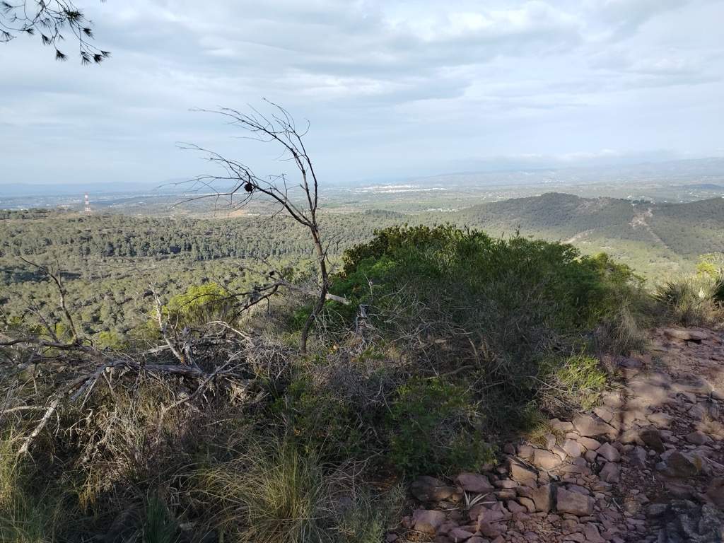 Photo №2 of La Rodana del Pic