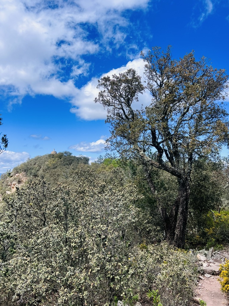 Photo №1 of La Torreta