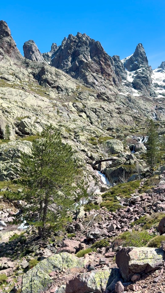 Photo №2 of La Tour Penchée