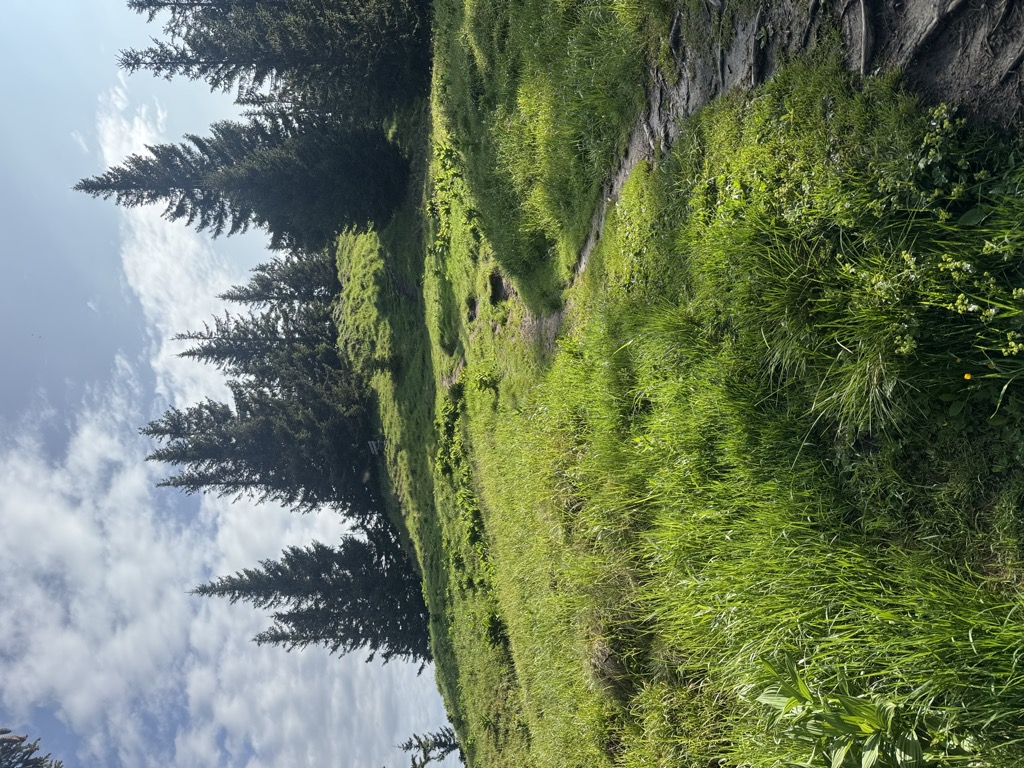 Photo №1 of Laber Hauptgipfel