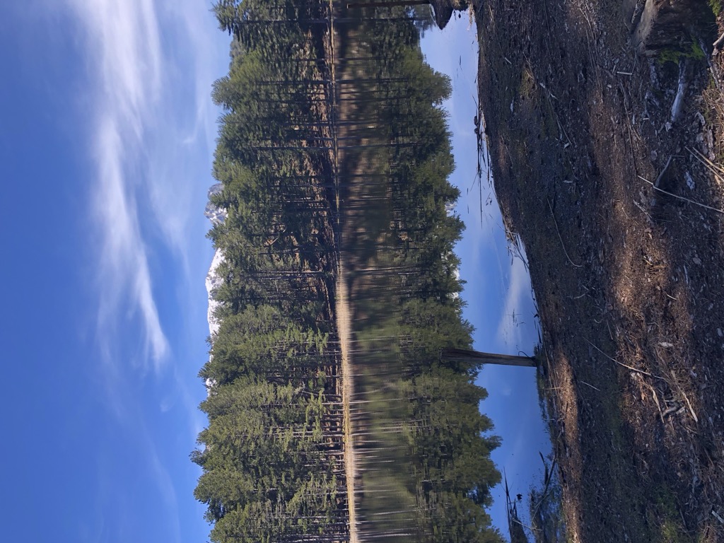 Photo №2 of Lac de Creno