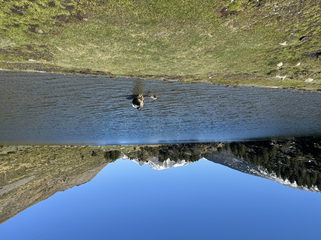 Photo №2 of Lac de Font Vive