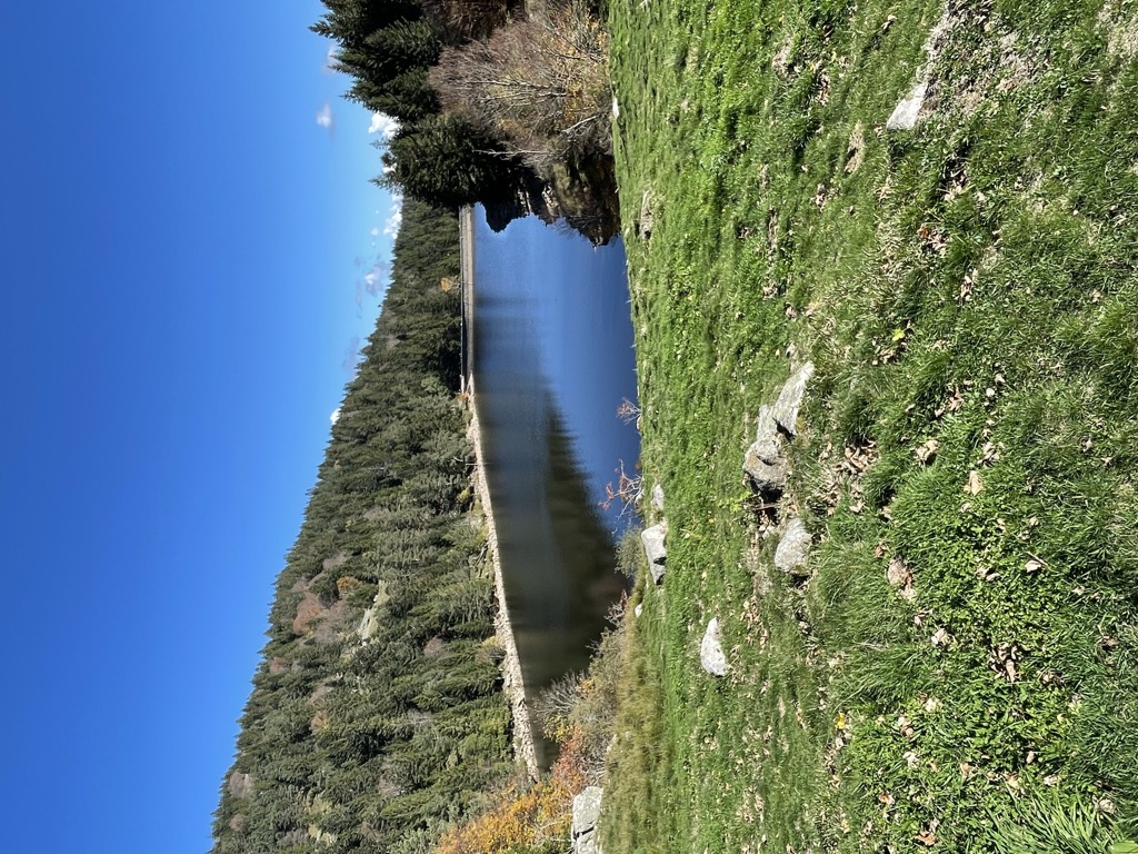 Photo №2 of Lac du Forlet