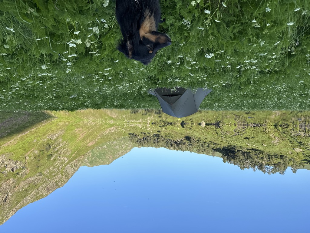 Photo №4 of Lac Vert
