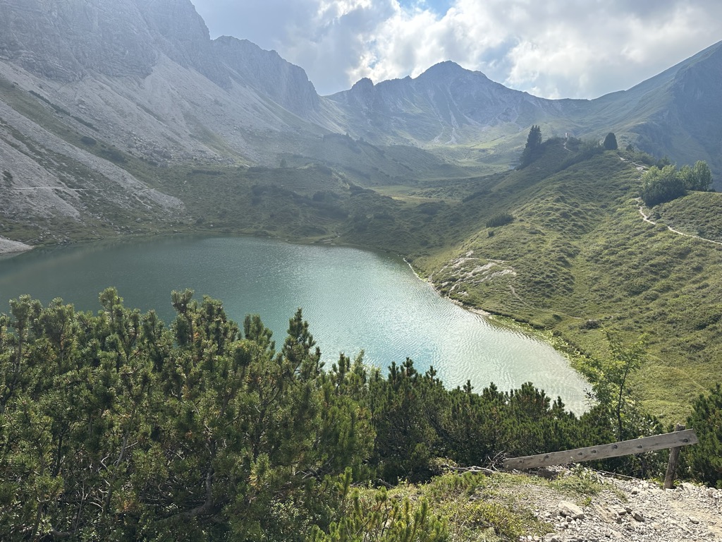Photo №3 of Lache