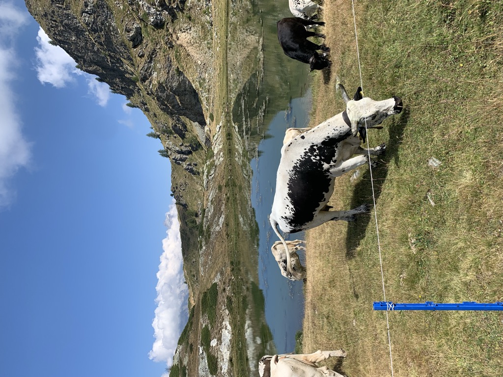 Photo №2 of Laghi di Champ-Long