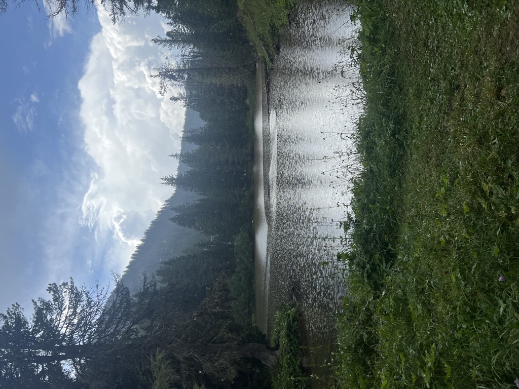 Photo №2 of Lago Bain de Dones