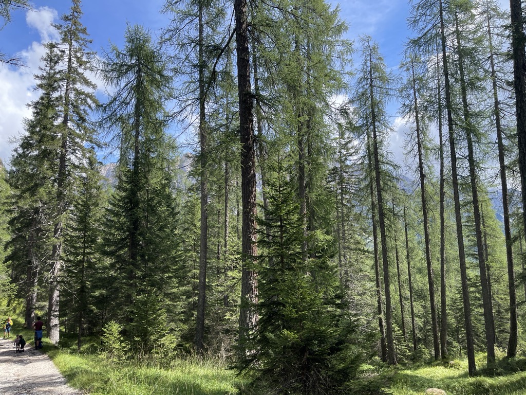 Photo №2 of Lago Ghedina
