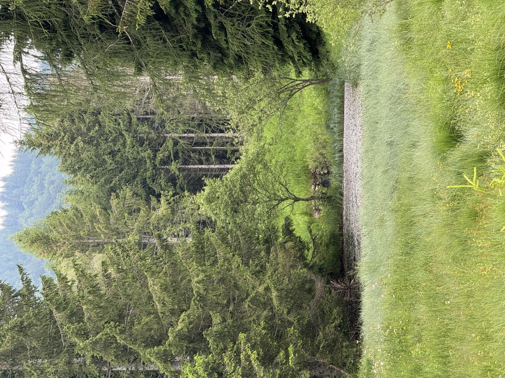 Photo №2 of Lago Mara