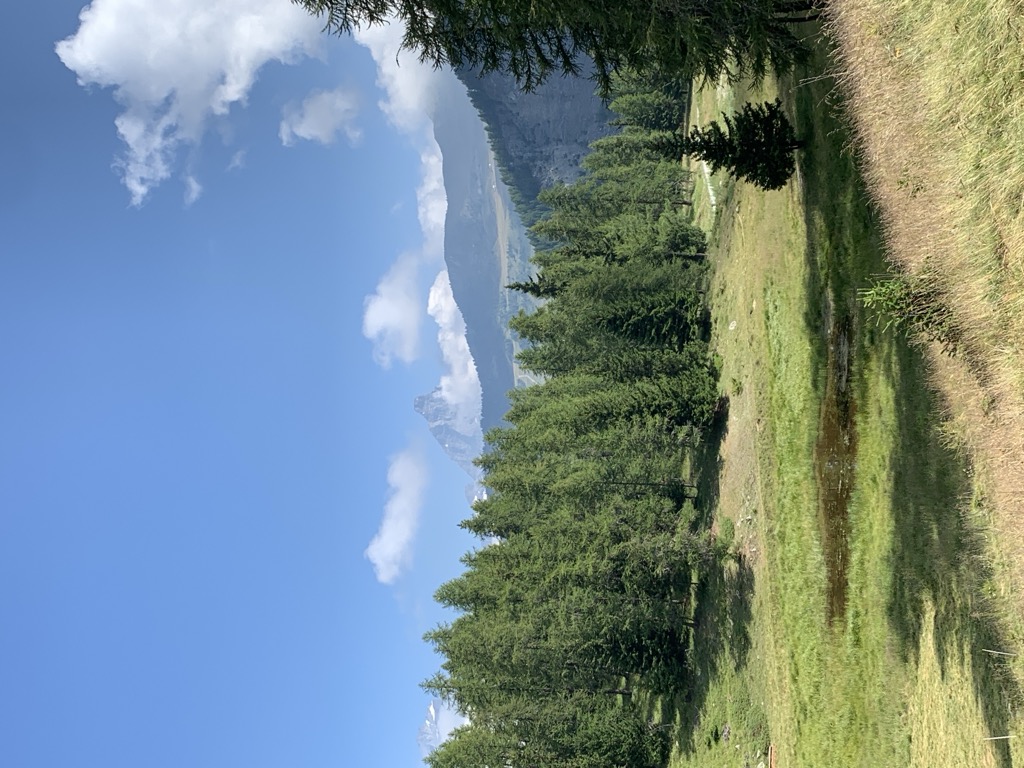 Photo №2 of Lago Pilaz