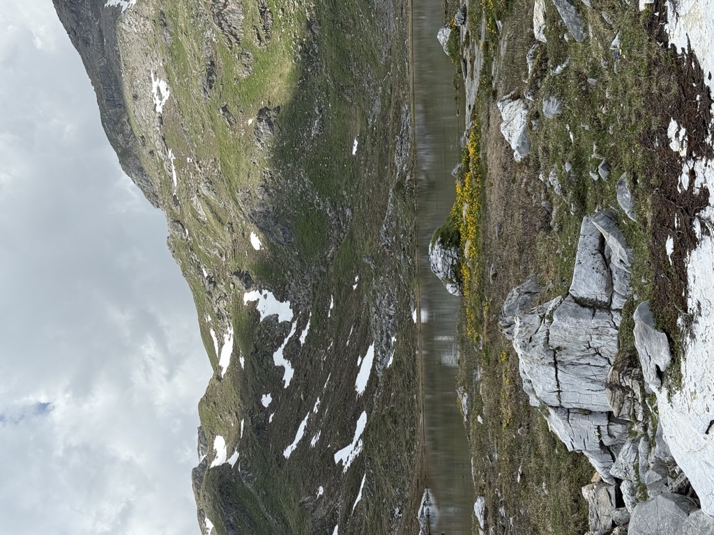 Photo №3 of Lai Grand