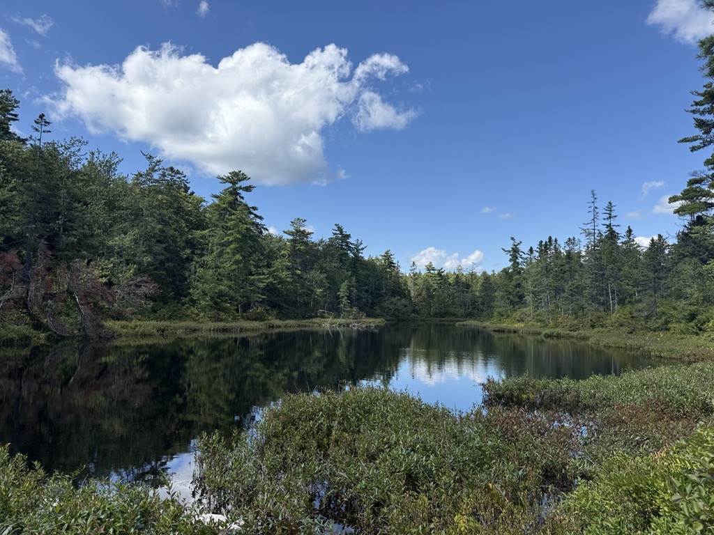 Lake Ann