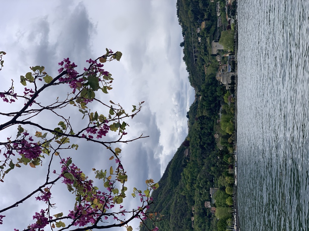 Photo №5 of Lake Como