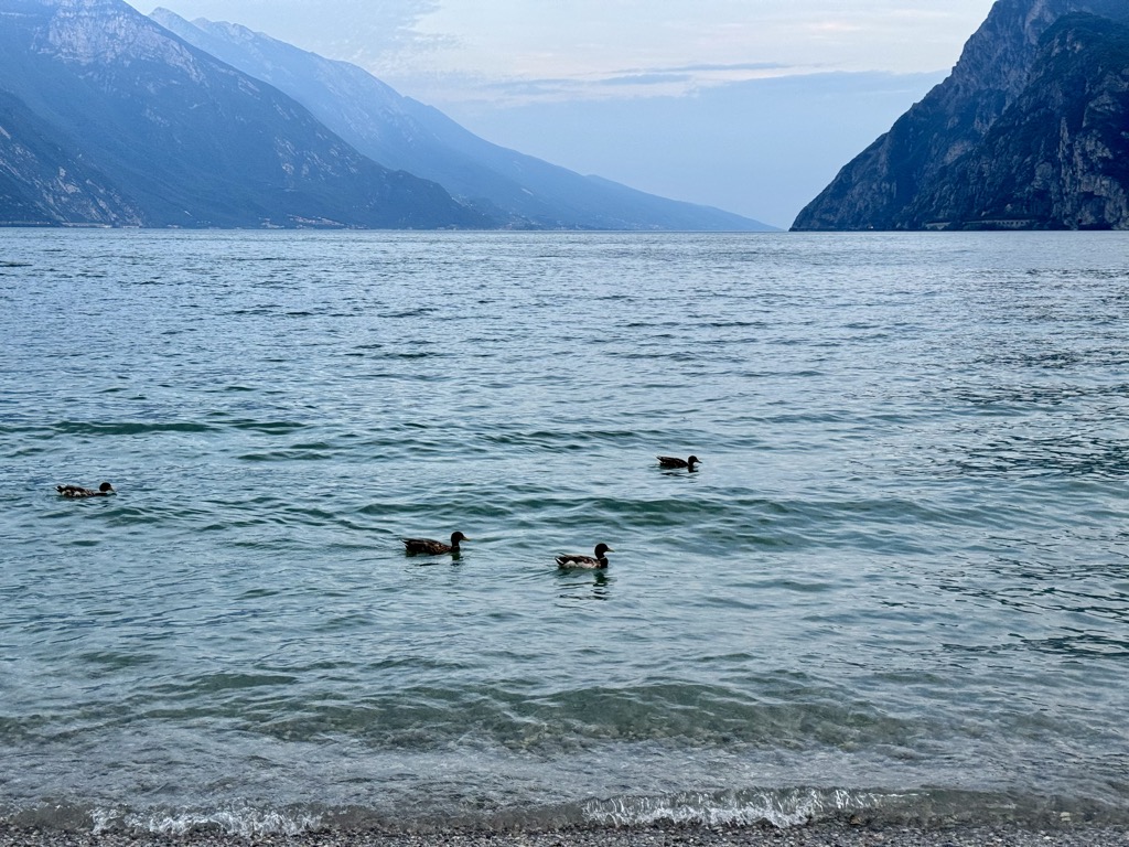 Photo №2 of Lake Garda