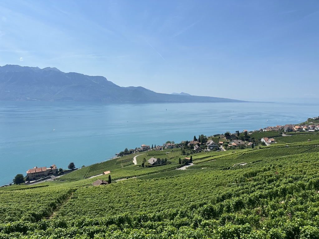 Photo №2 of Lake Geneva