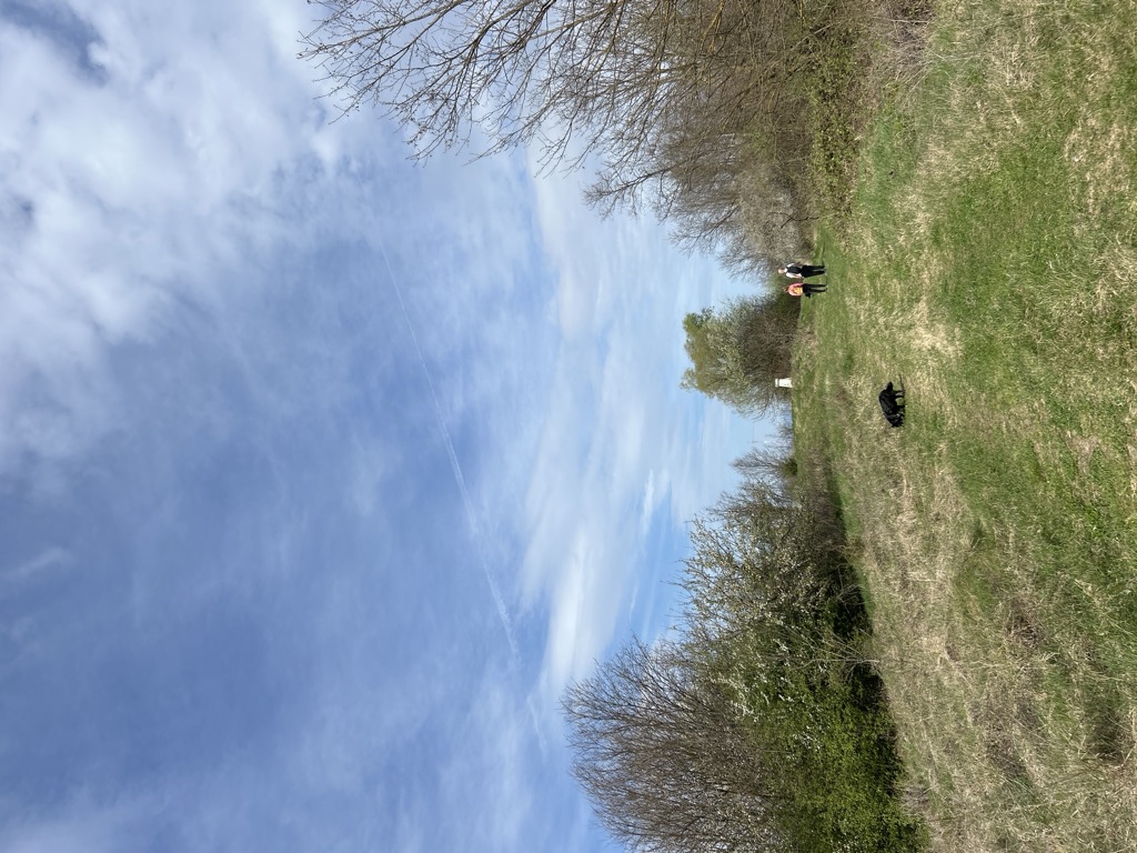 Photo №2 of Lakovica