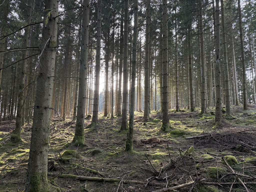 Photo №2 of Lammerkopf