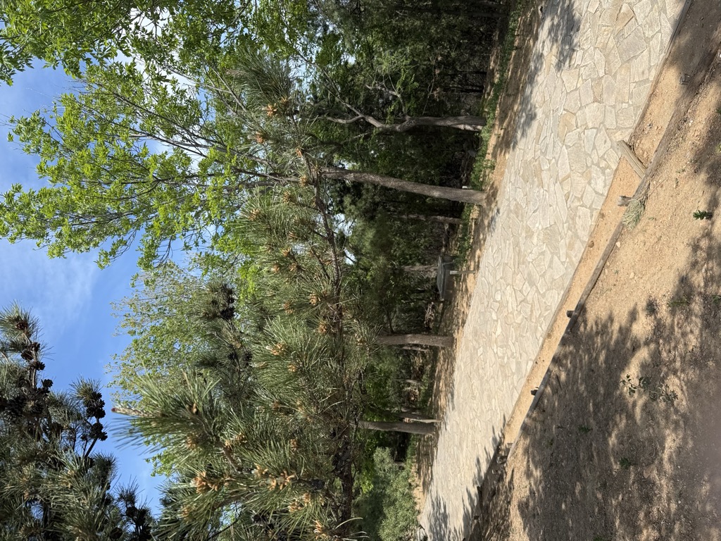 Photo №4 of Láng Pō Dǐng
