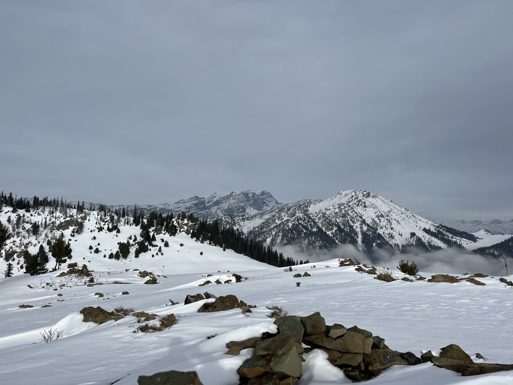 Photo №1 of Langmarg