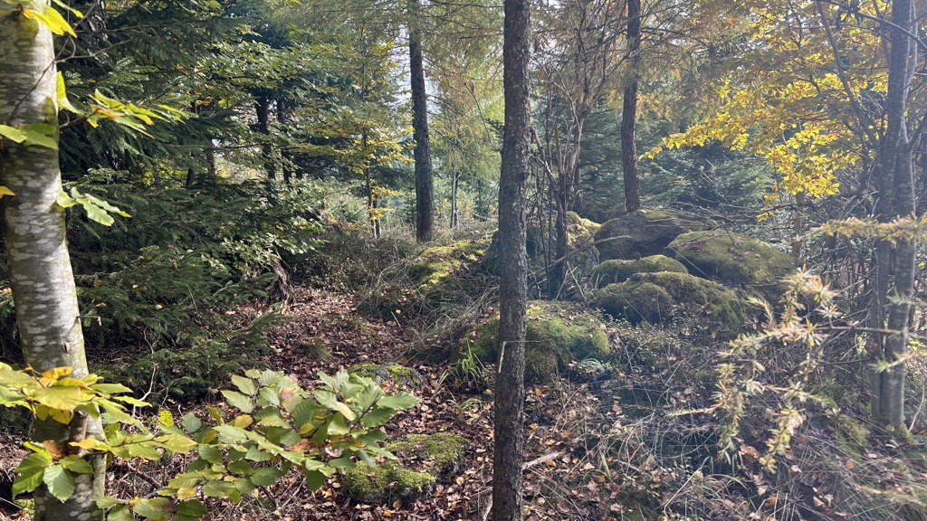 Photo №2 of Langsteiner Berg