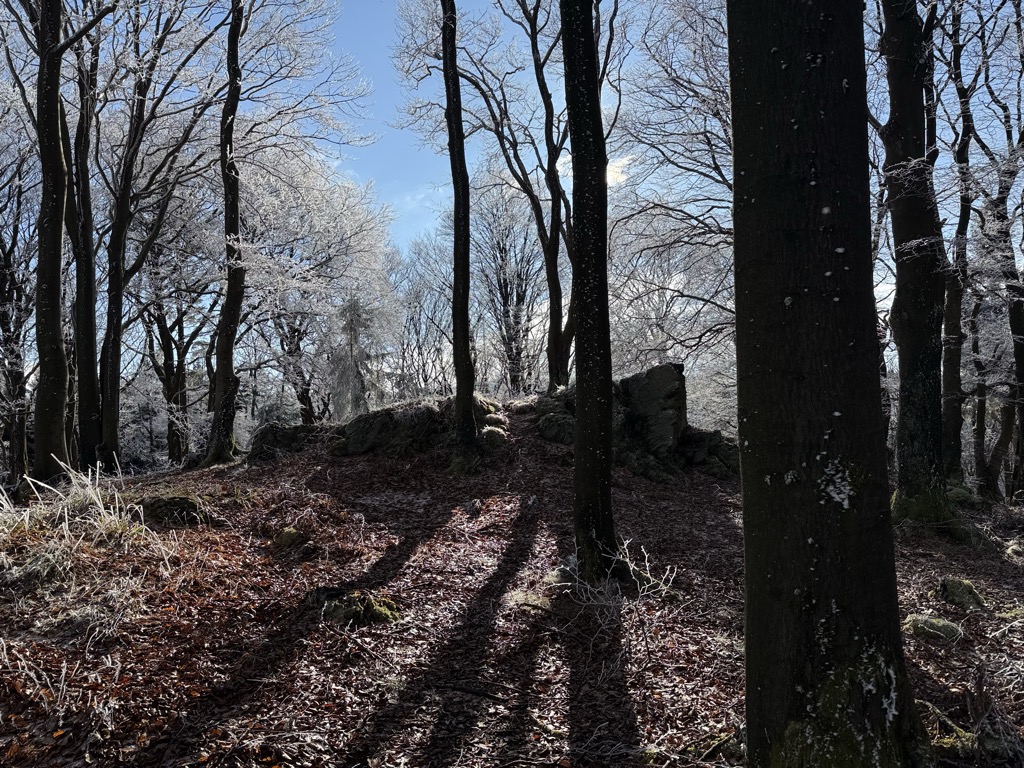 Photo №2 of Lansenberg