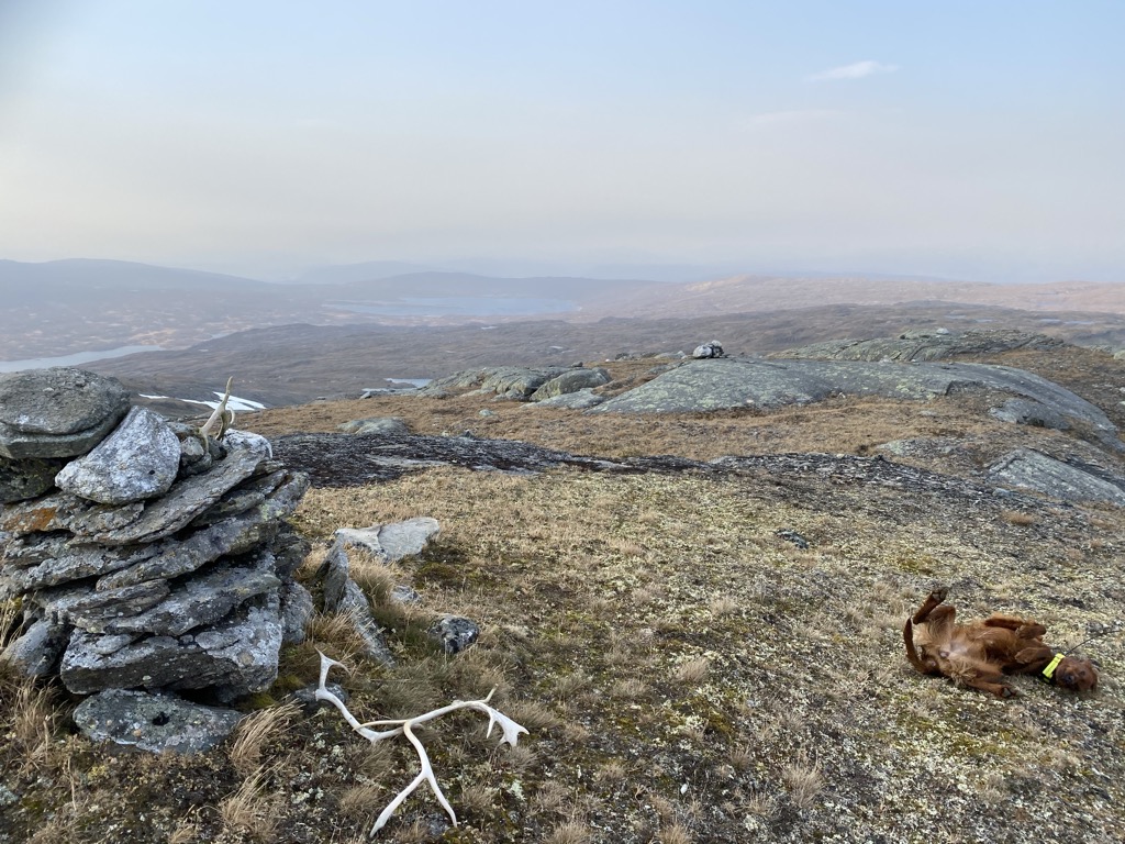 Photo №1 of Lappfjellet