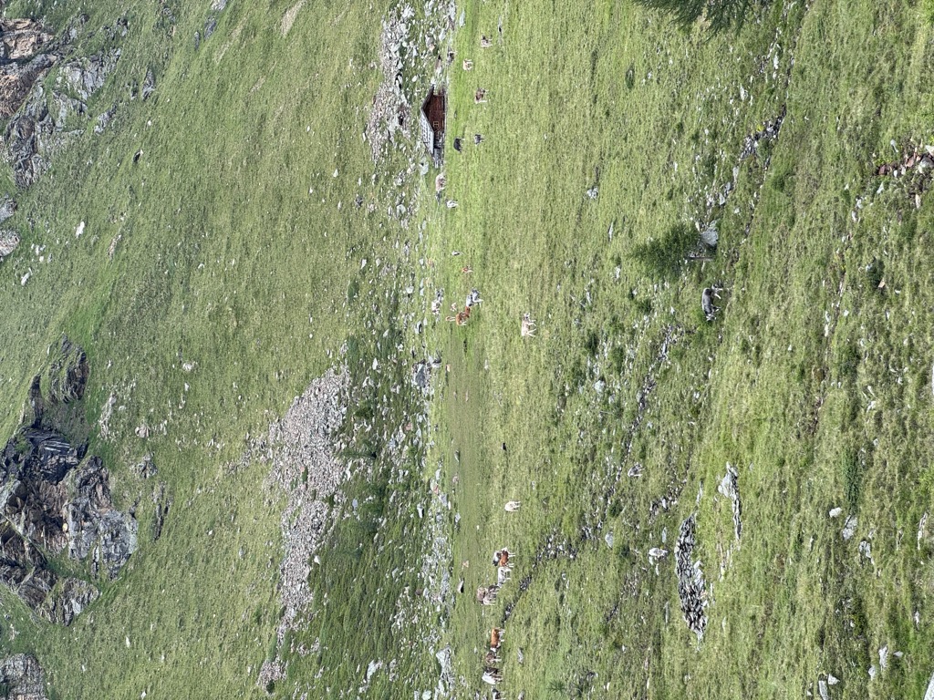 Larcher Alm