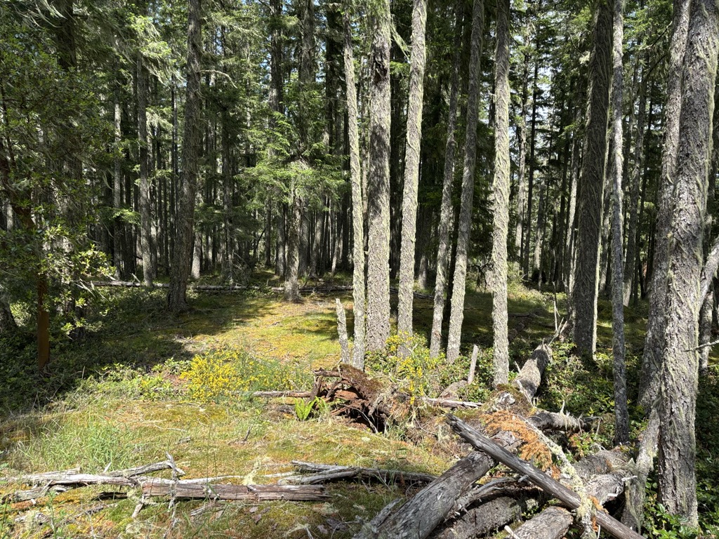 Photo №2 of Larkspur North